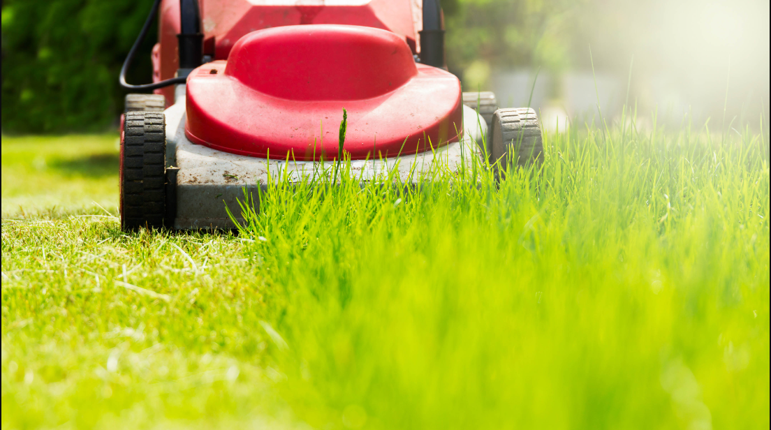 8 Fehler bei der Rasenpflege im Frühjahr, die Ihren Rasen zerstören: Vermeiden Sie diese häufigen Fehler für einen gesunden und lebendigen Garten: